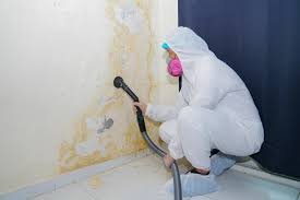 Best Mold Odor Removal Services  in Woodlands, CA